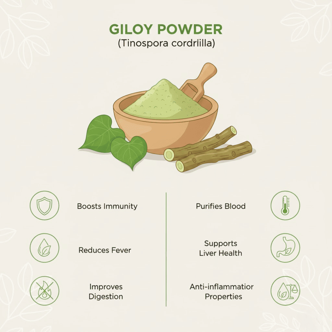 Giloy Powder - Image 2
